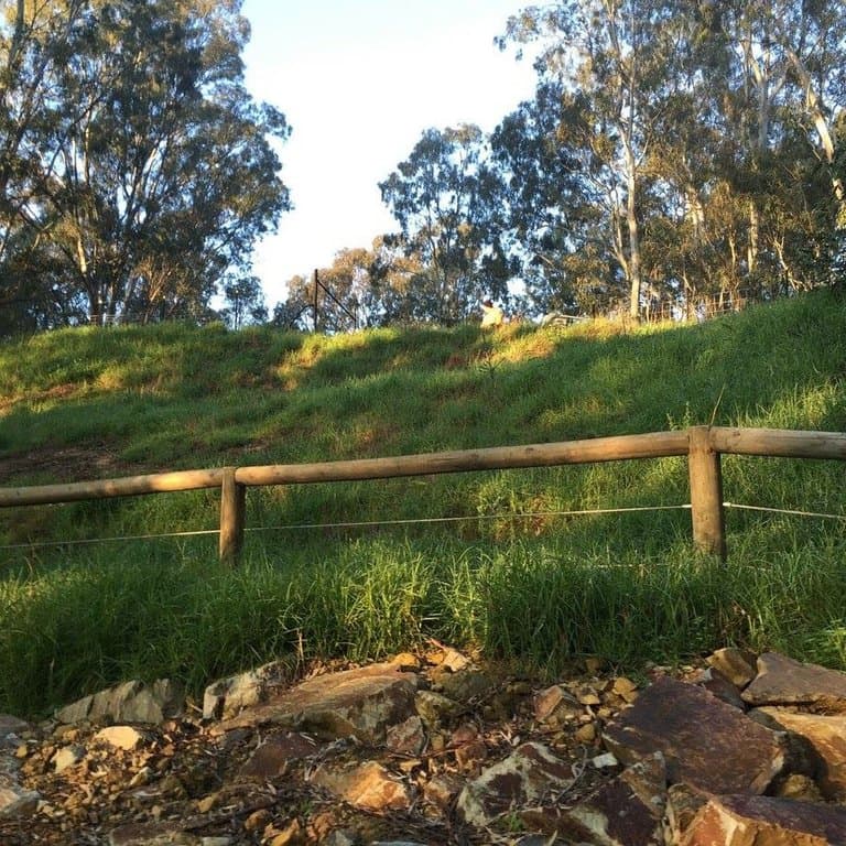 Birrarung Park