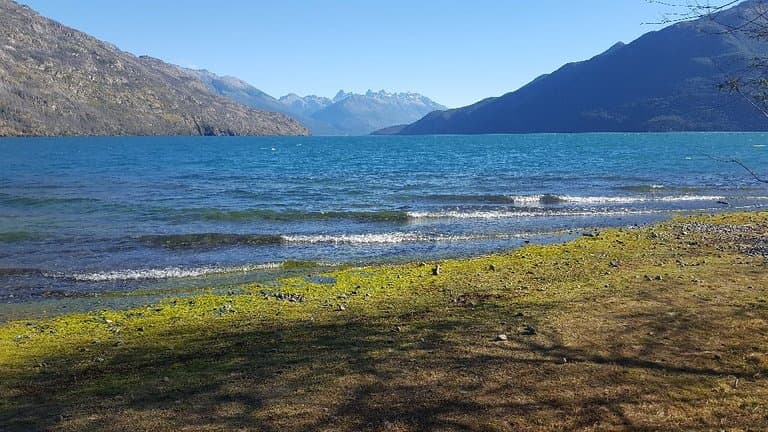 Vistas del lago y arrayanes