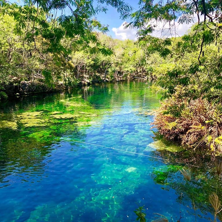 Vast Clear Waters