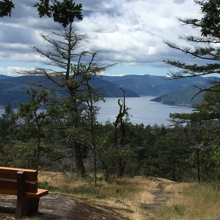 Pickles' Bluffs Viewpoint