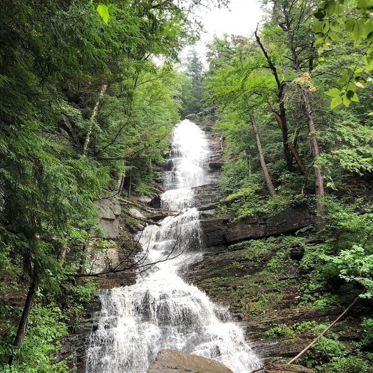 Vertical photo