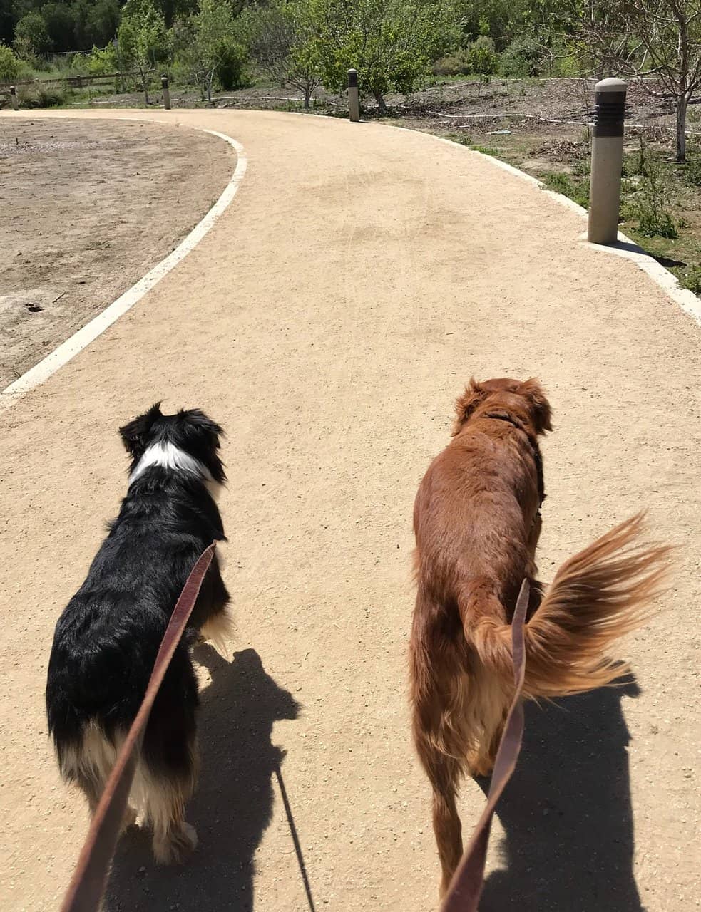 Family-Friendly Playground