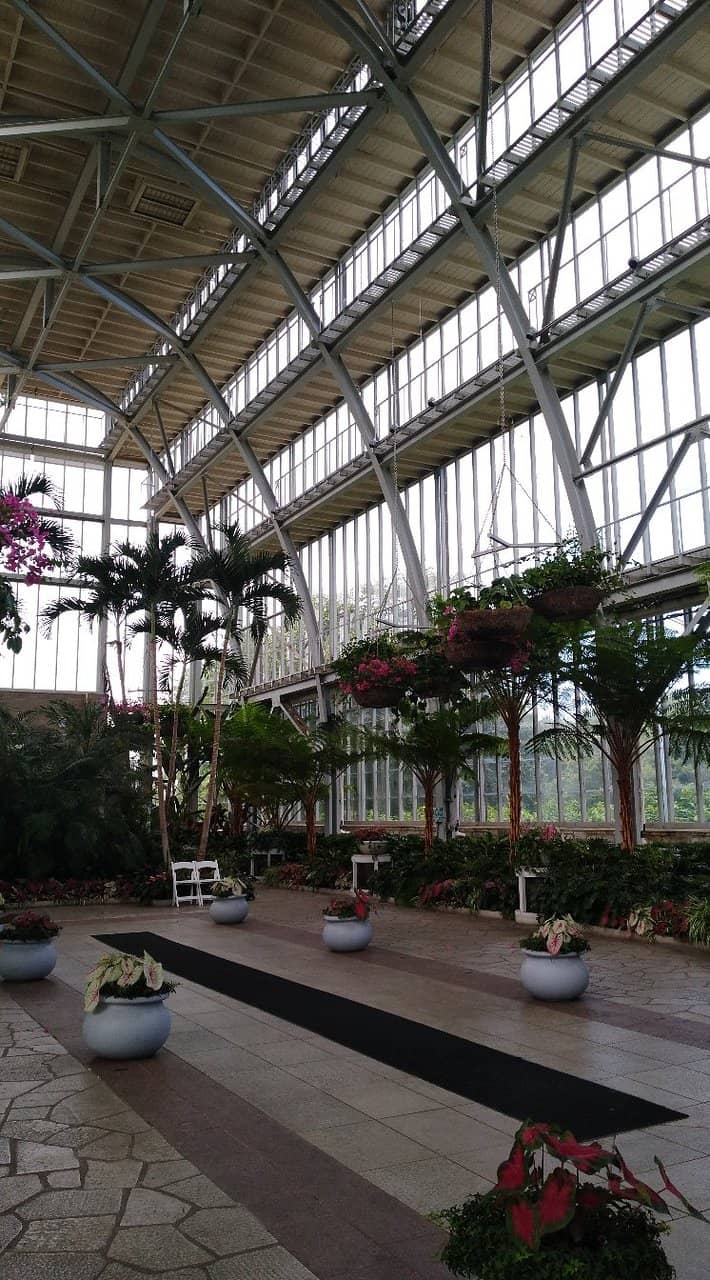 Peaceful Reflecting Pool