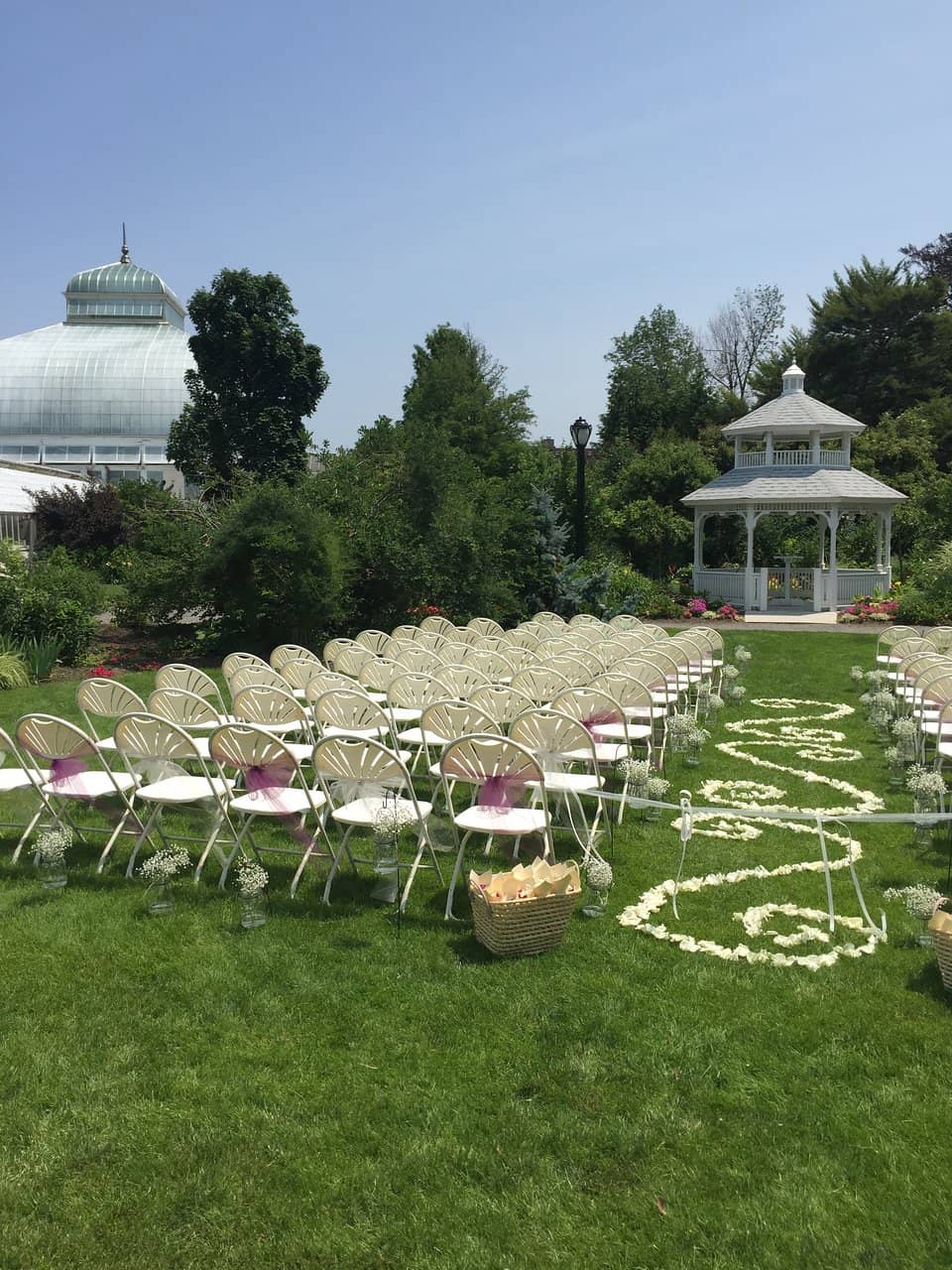 Cactus & Succulent Collection