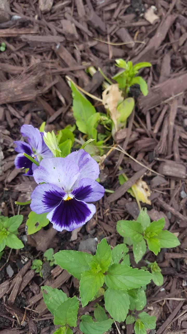 Interactive Exhibits