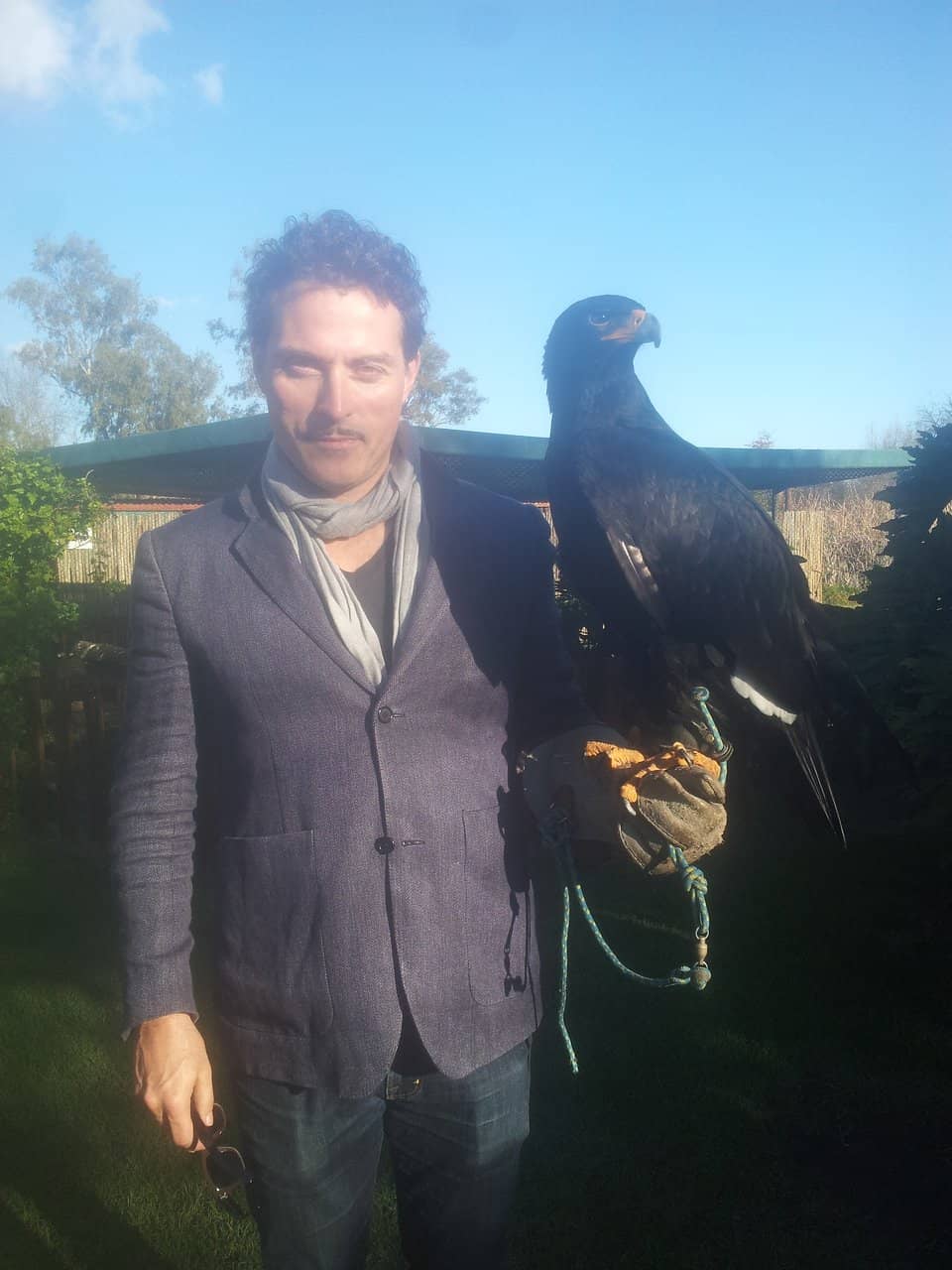 Interactive Bird Shows