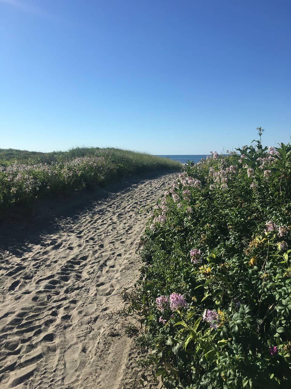 Expansive Sandy Shore