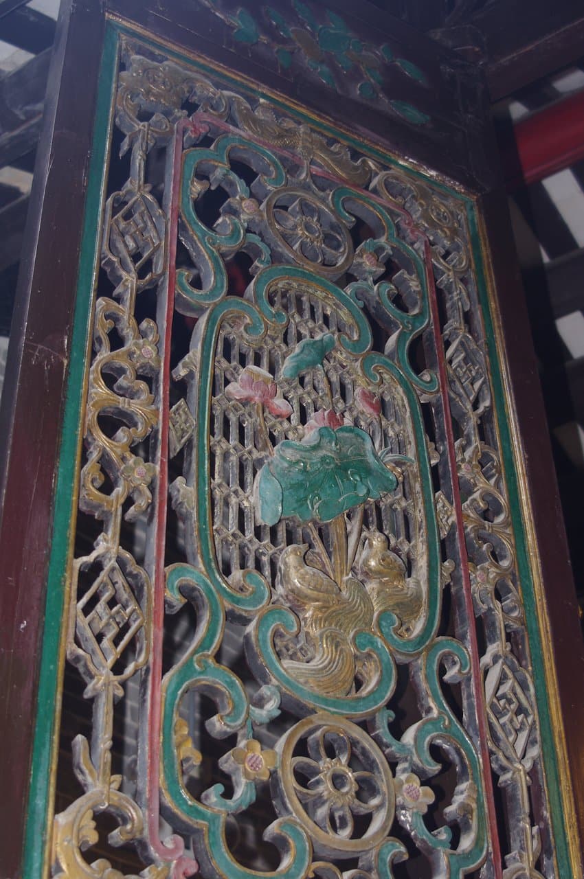 The flash photo brings out the colours. There's more of this!