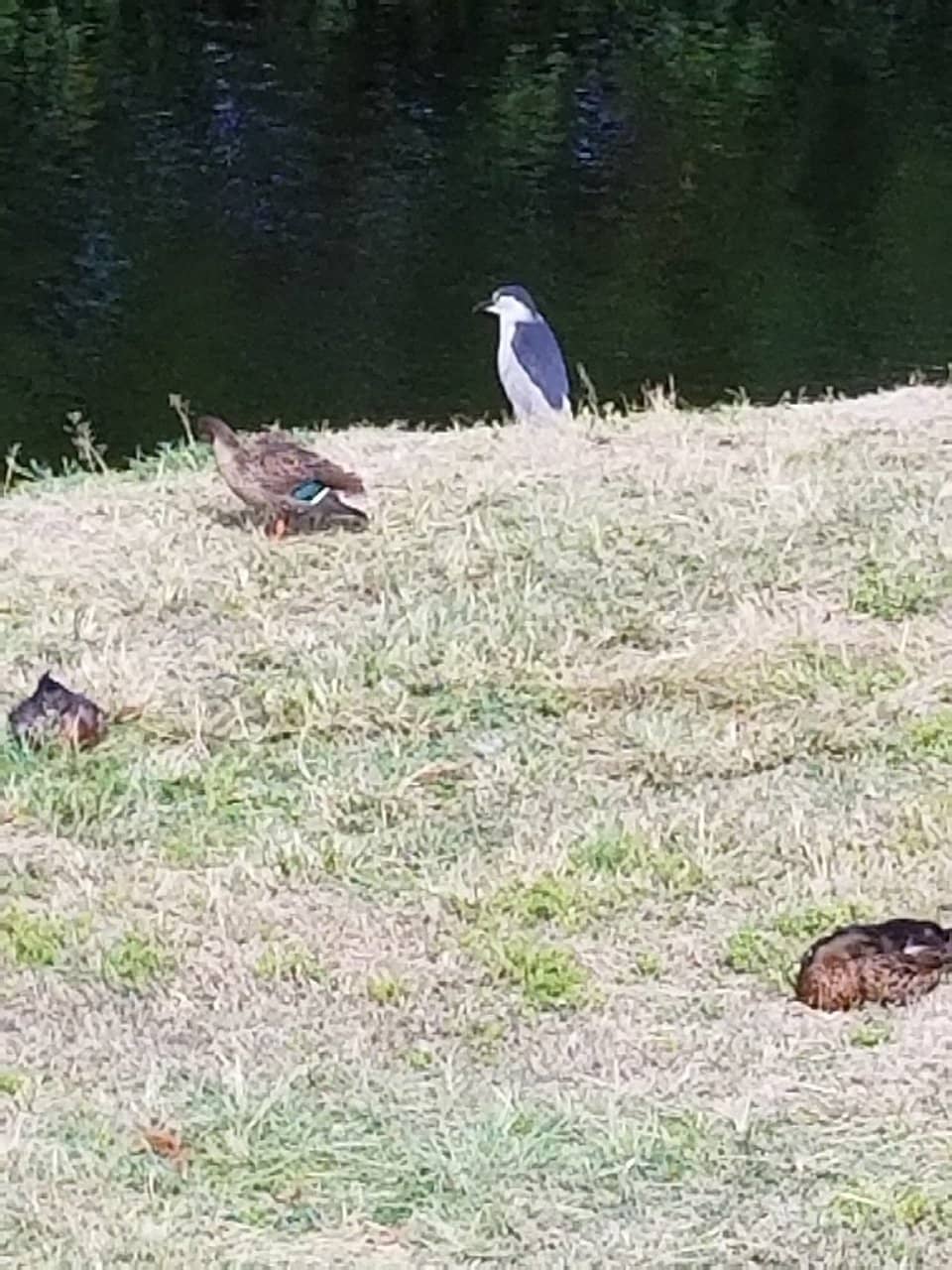 Birdwatching Paradise