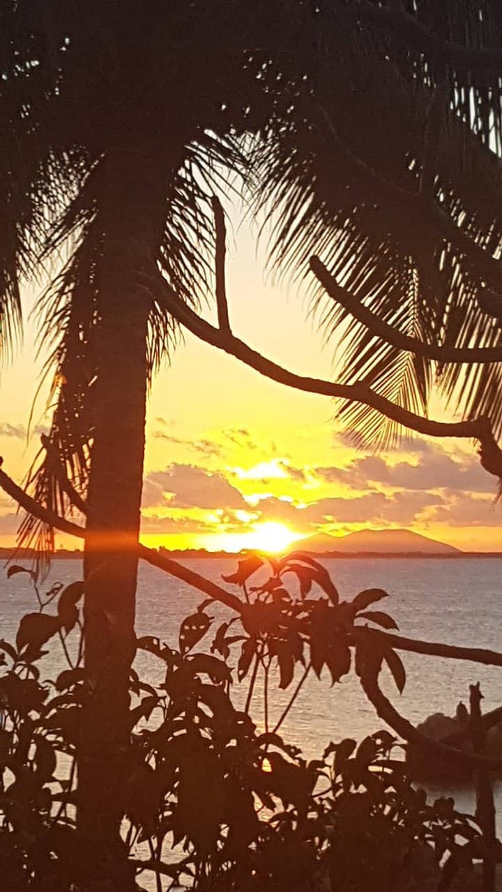Low Tide Exploration