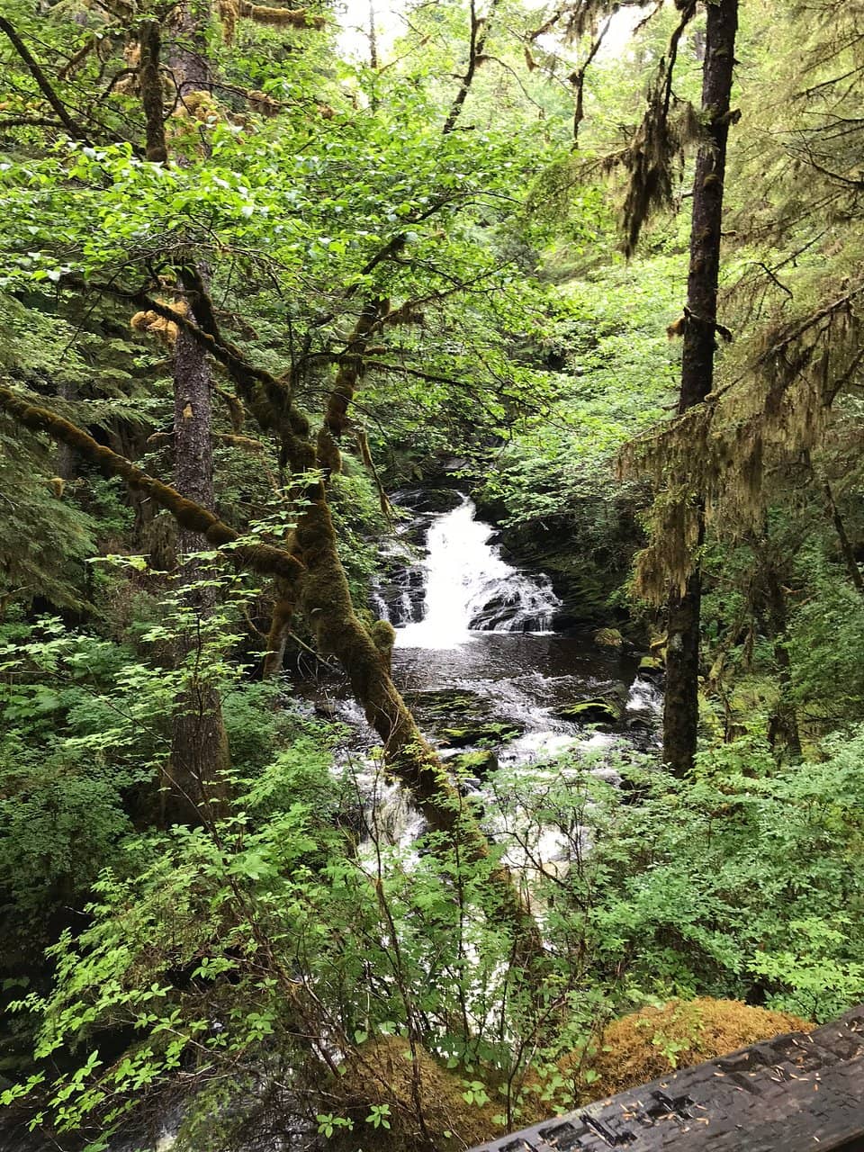 Beachcombing Adventures