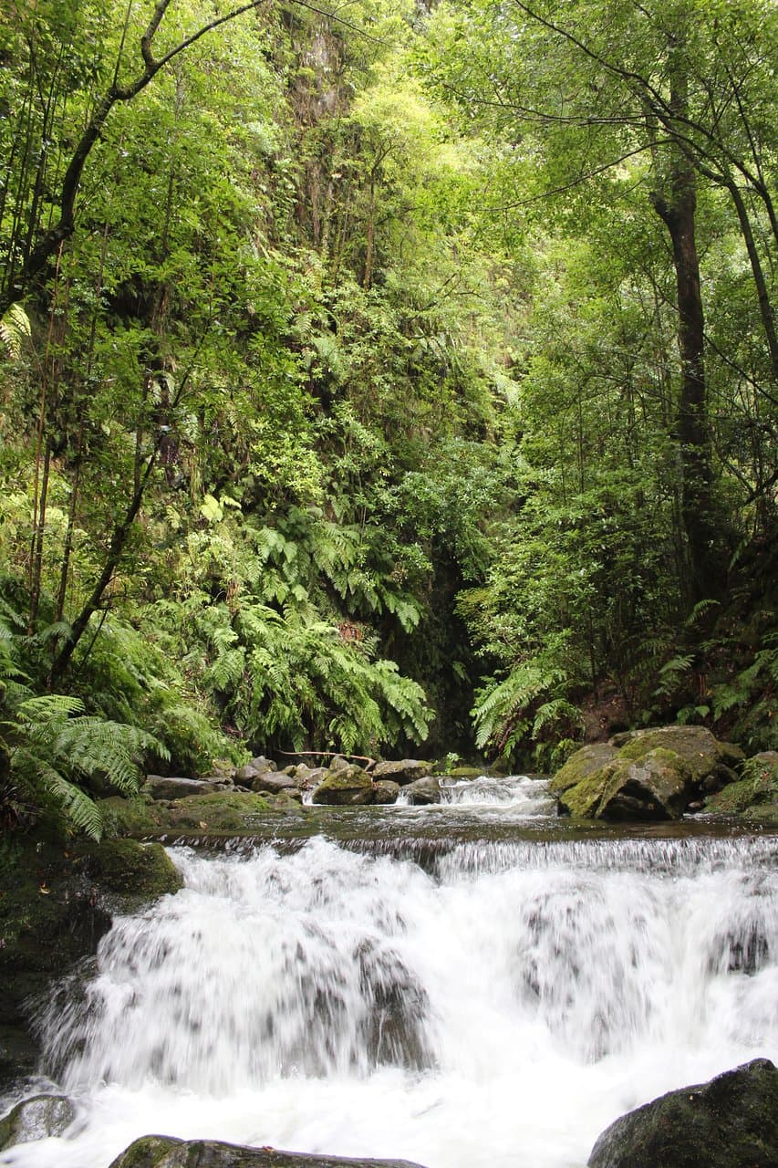 c'est l'extrémité le chemin ne va pas plus loin