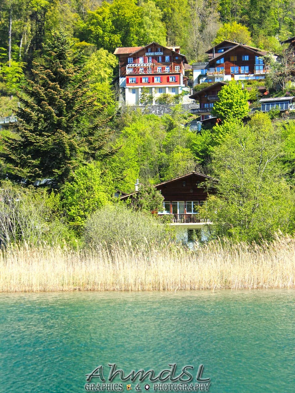 Tranquil Green Spaces