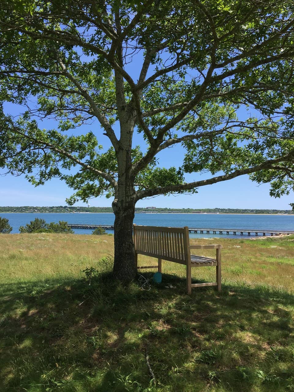 Kayaking & Paddleboarding