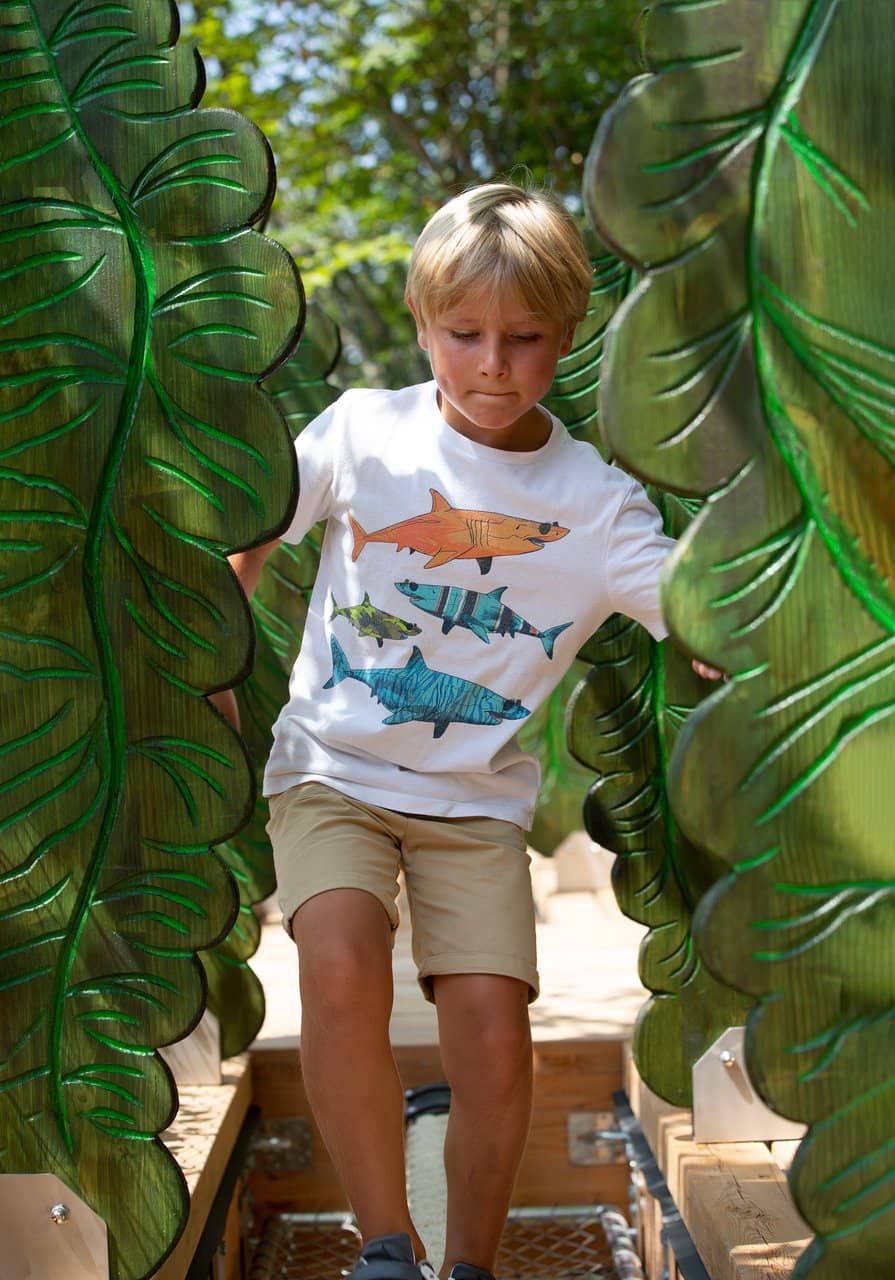 Lichterzauber (Light Magic)