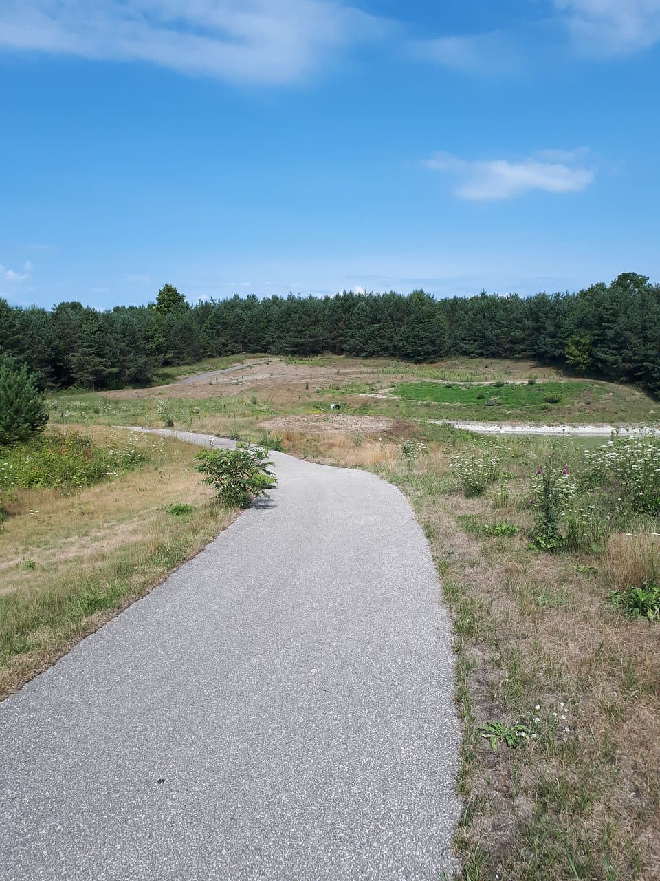 No golf today ... but the cart path goes around most of the course and makes for a good bike rid
