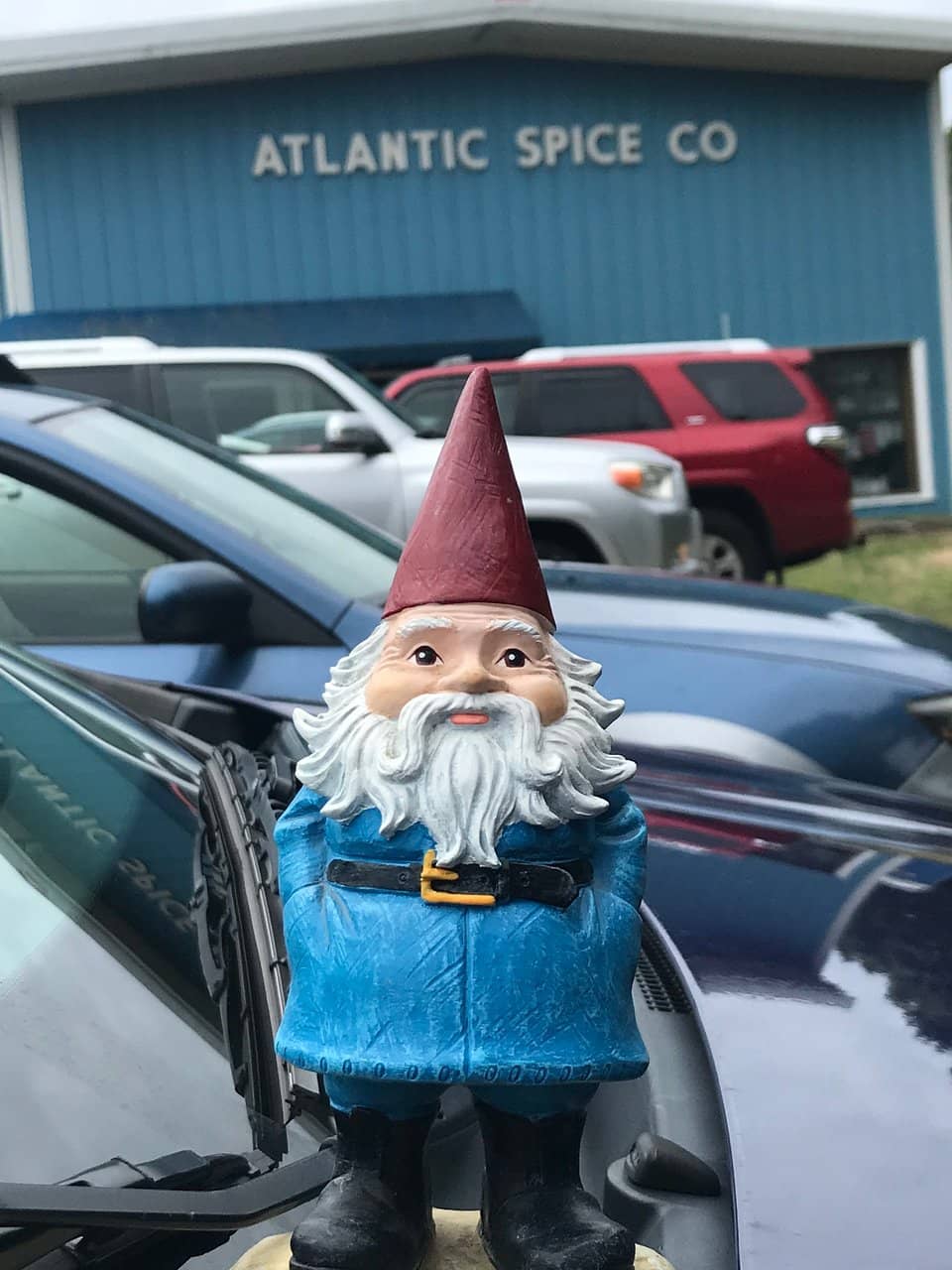 Loose Leaf Tea Selection