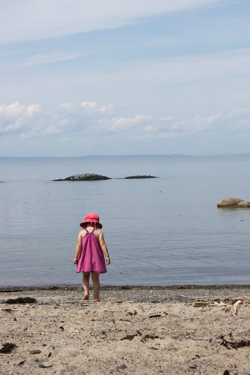 Well-Maintained Trails