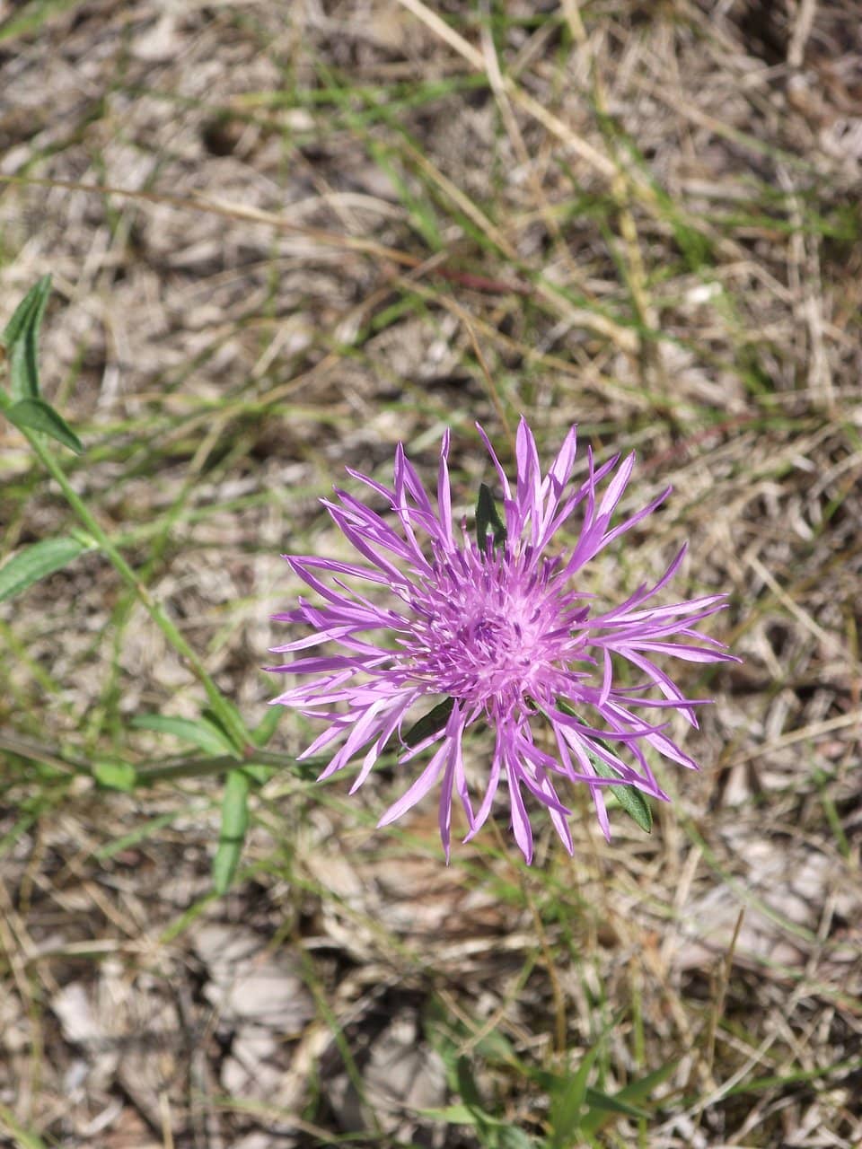 Bird-Watching Trails