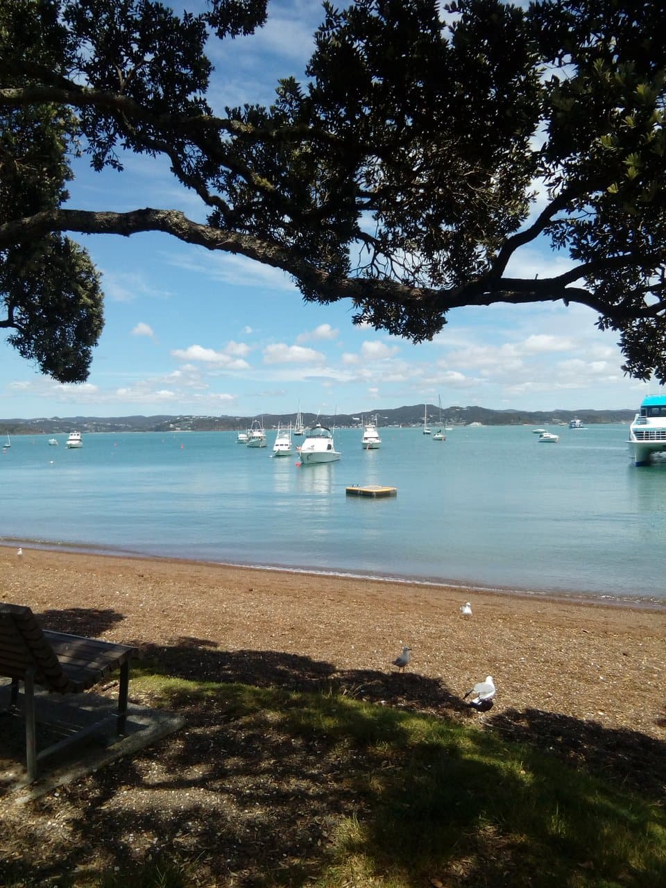 Walkway concludes in Kororareka Bay, Russell. Plenty of cafes to aid recovery, with a view across the bay. From here the ferry will take you back to Paihia.