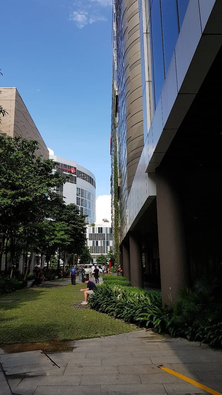 Sports & Athleisure Brands