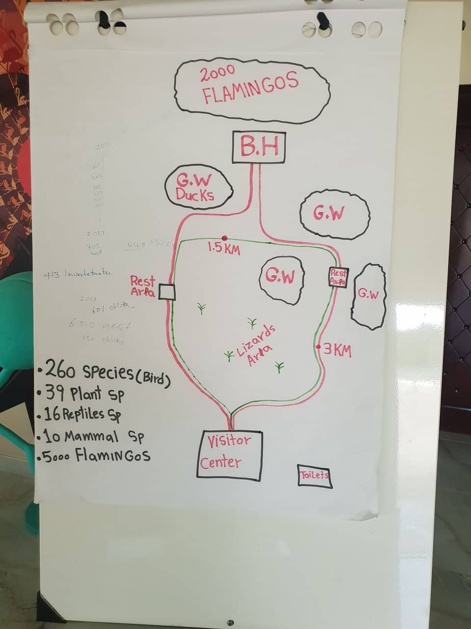 Self-Guided Walking Trails