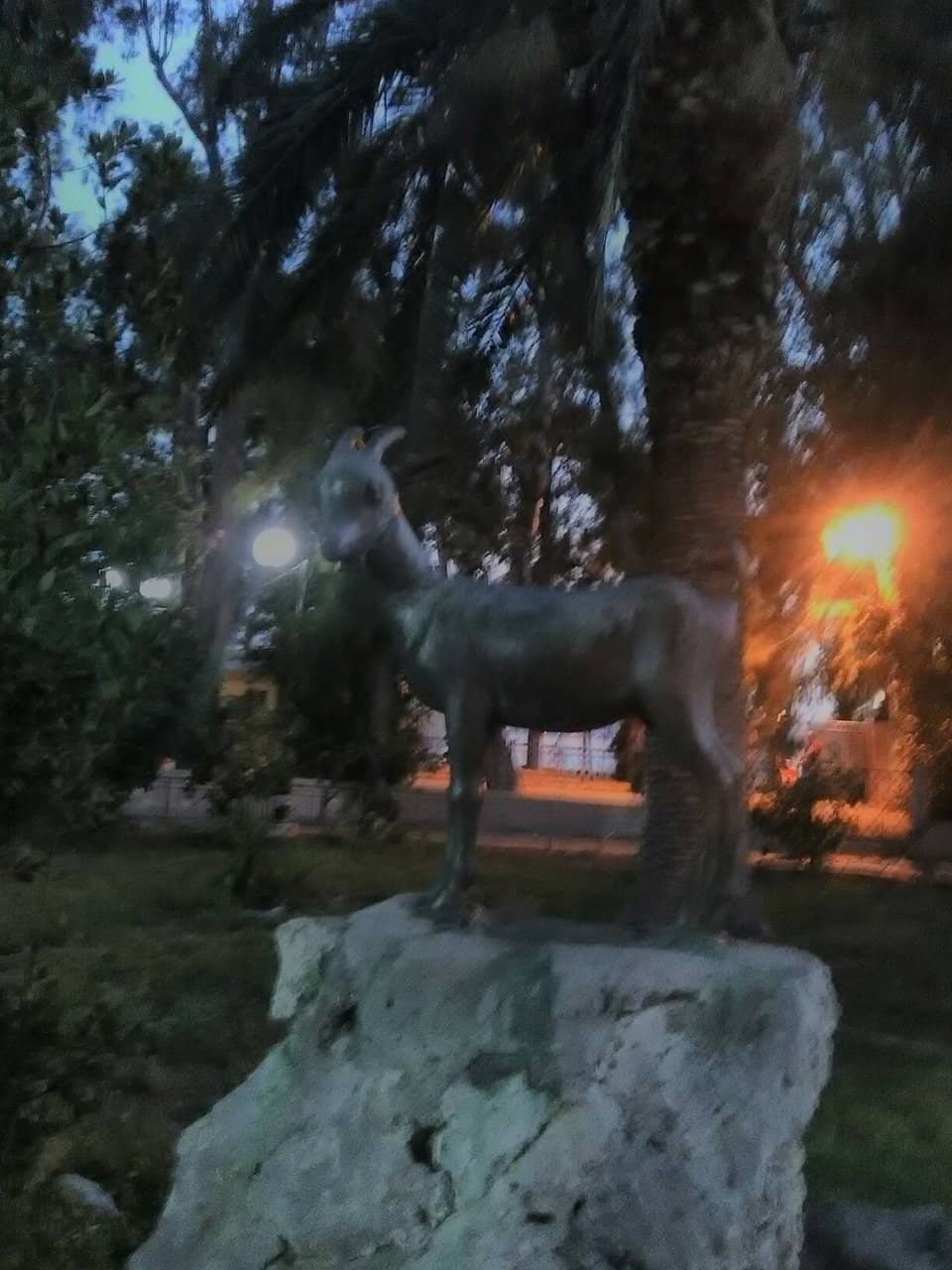 Family Park & Playground