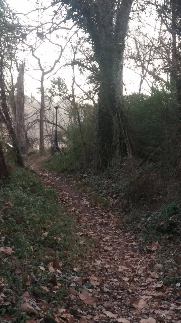 Vertical photo