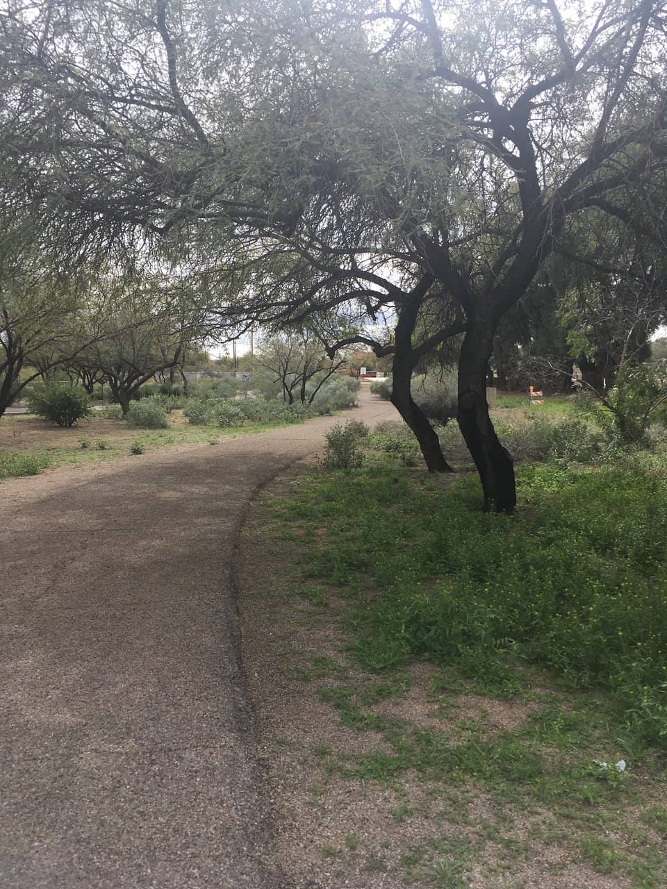 Sweetwater Wetlands Park