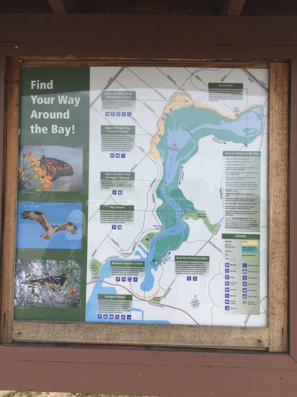 Live Aquarium & Terrariums