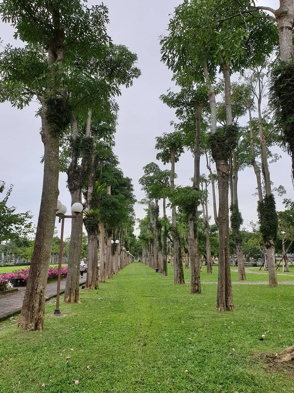 Old Locomotive Display