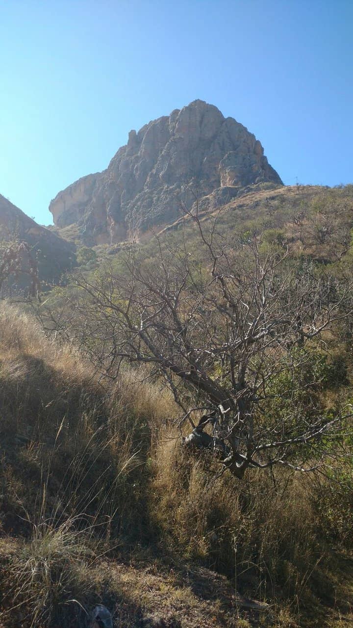 Vertical photo