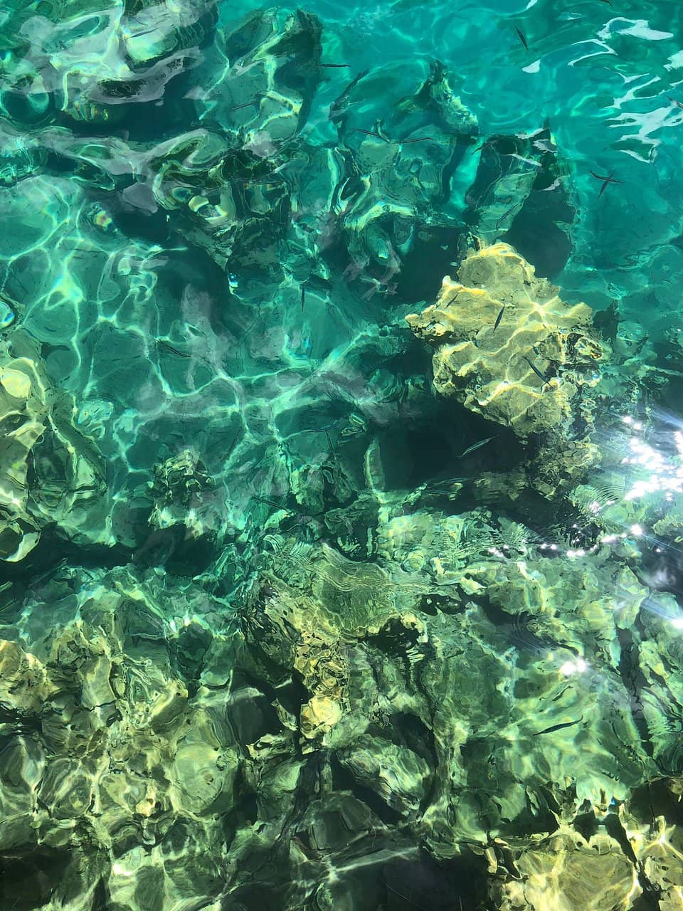 Crystal-Clear Freshwater Swim