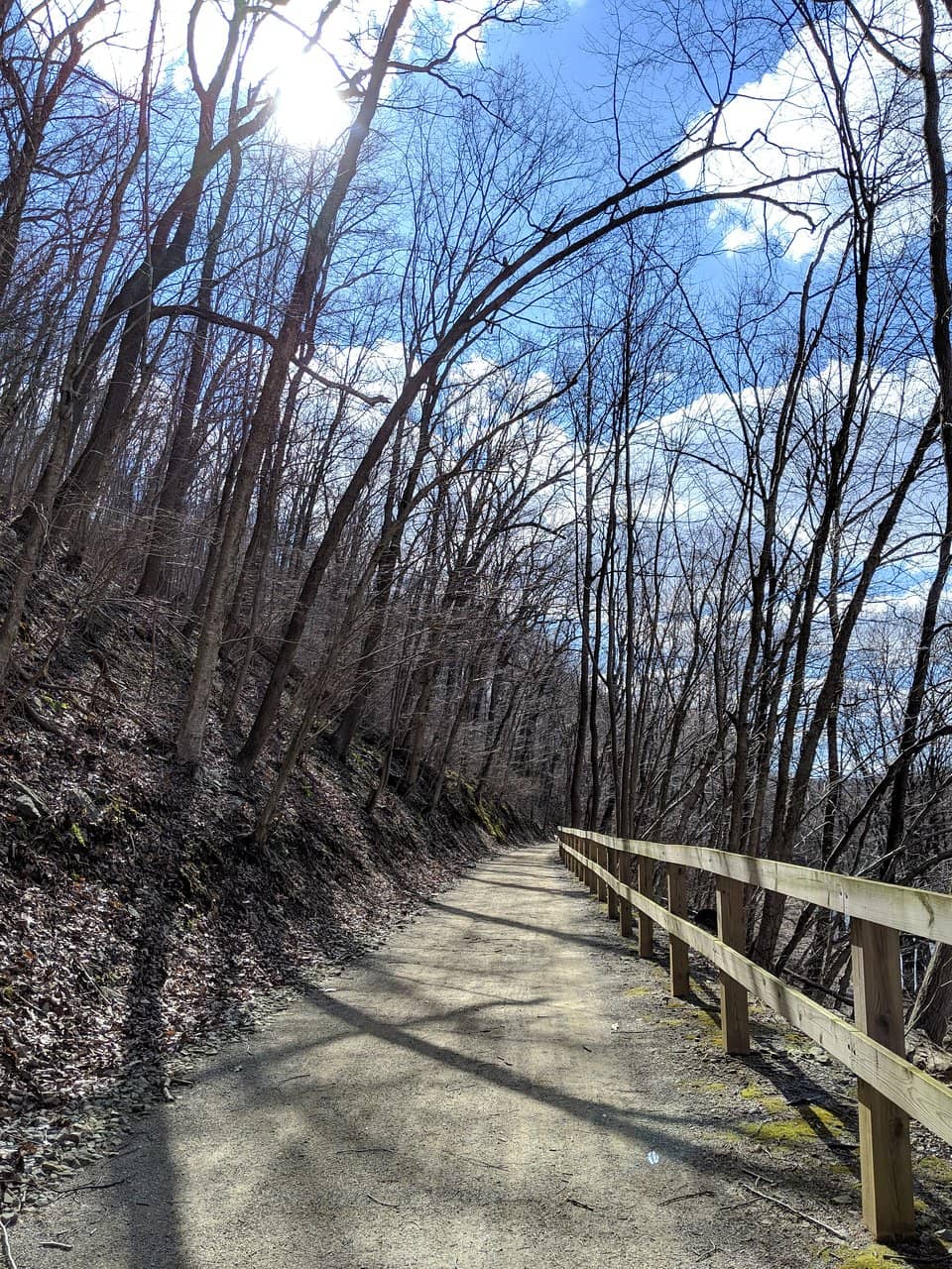 Vertical photo