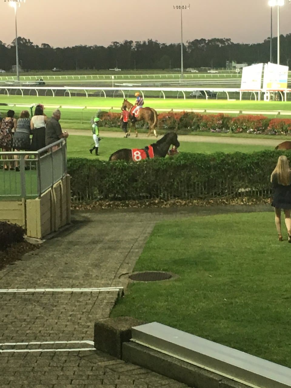 Sunshine Coast Turf Club Corbould Park