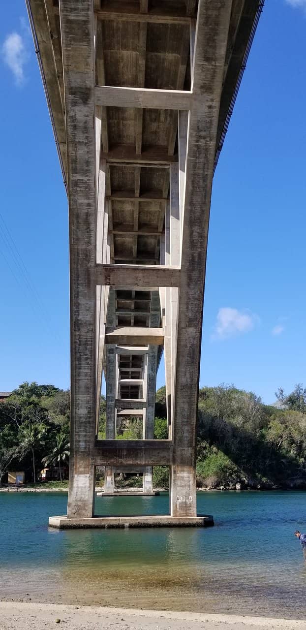 Lush Natural Scenery