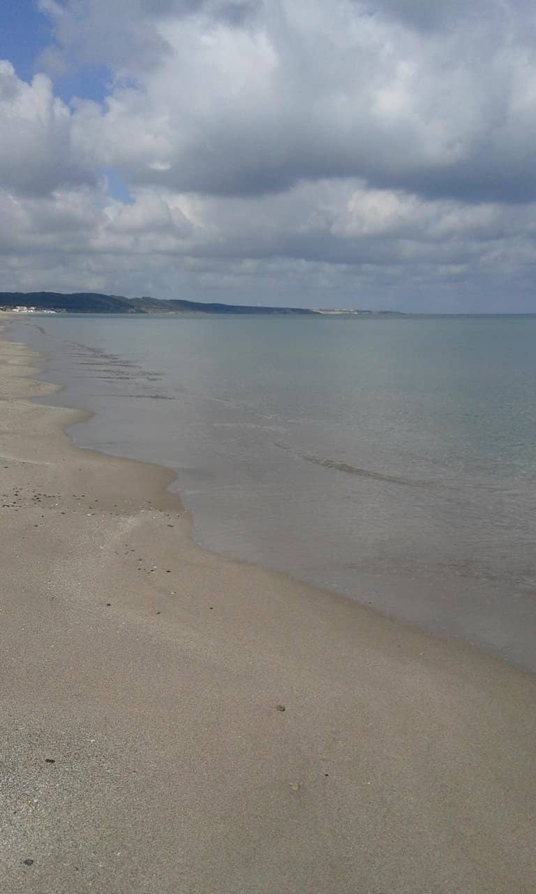 Artistic Sand Sculptures