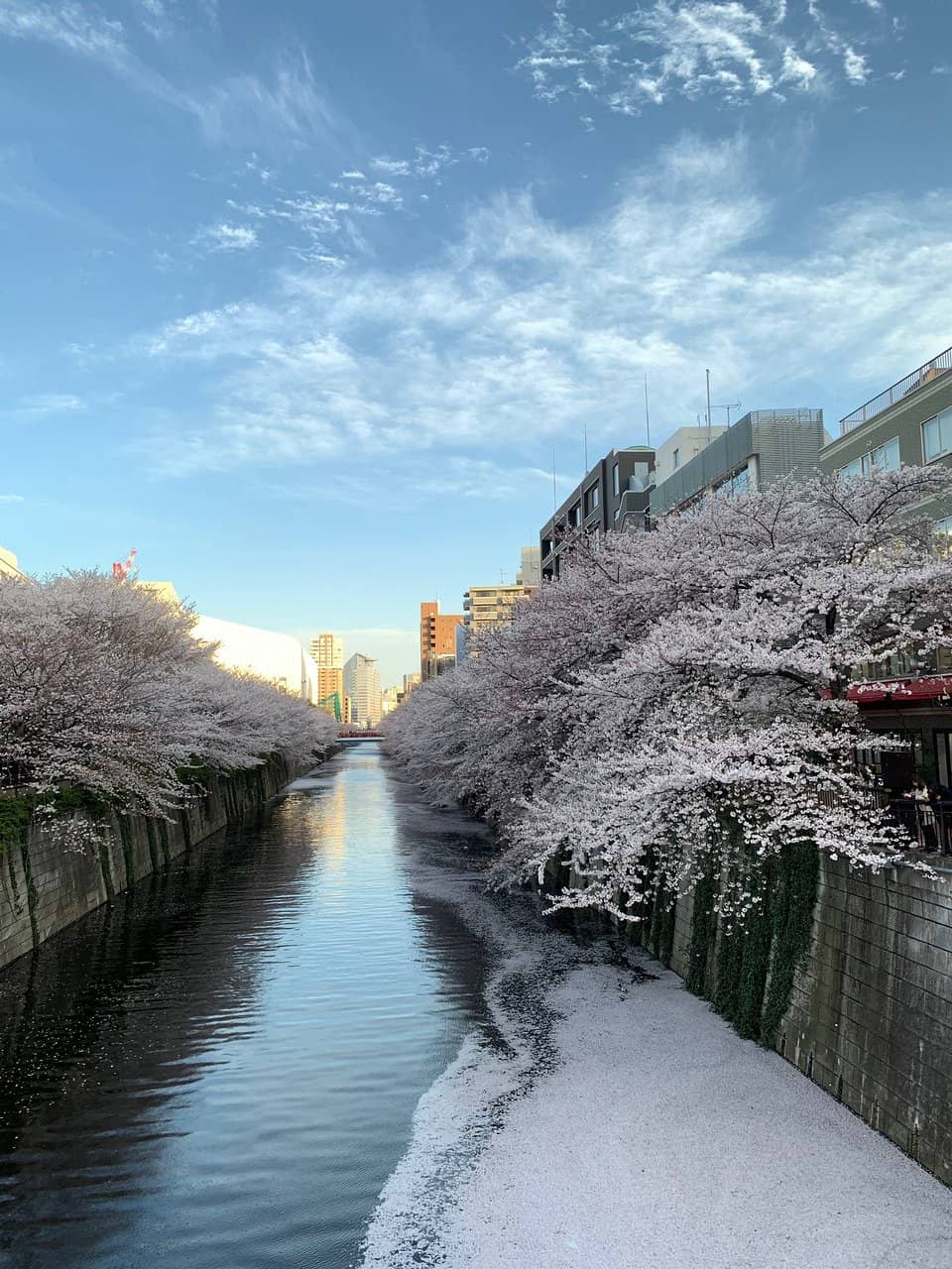 Riverside Serenity (Off-Season)