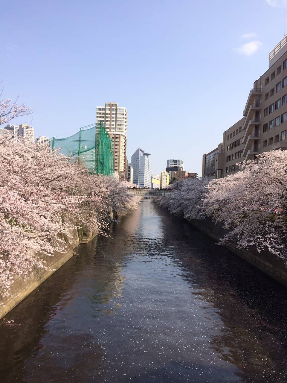 Trendy Nakameguro Stroll