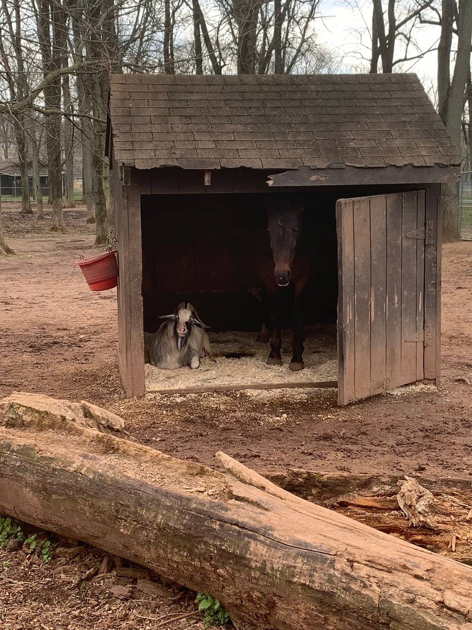 Playgrounds & Picnic Groves