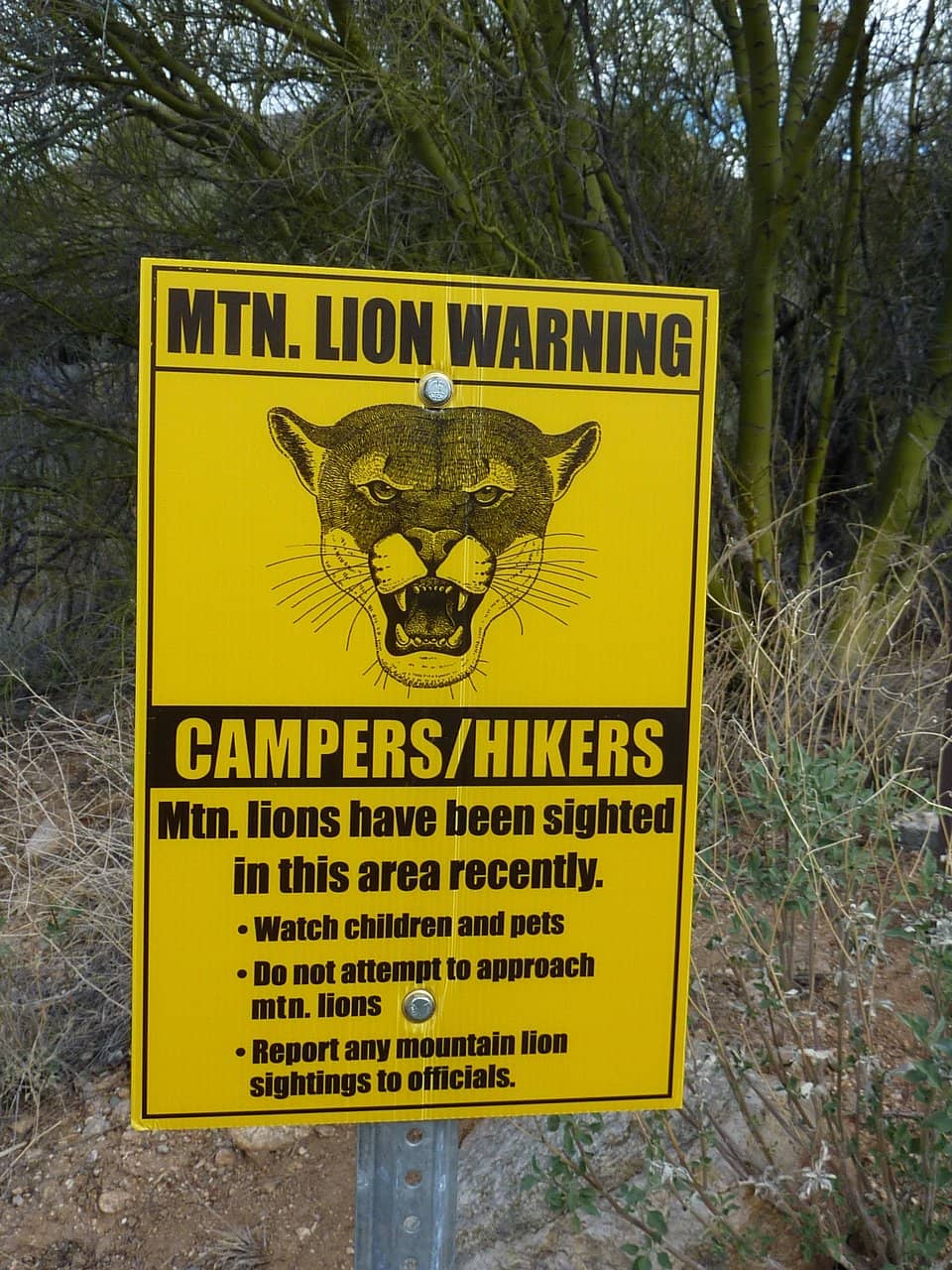Sabino Canyon Crawler Tram