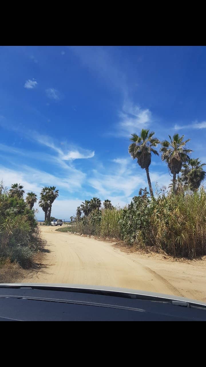 Whale Watching Opportunities