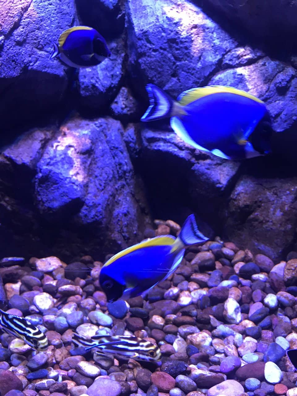 Glass Lift Experience