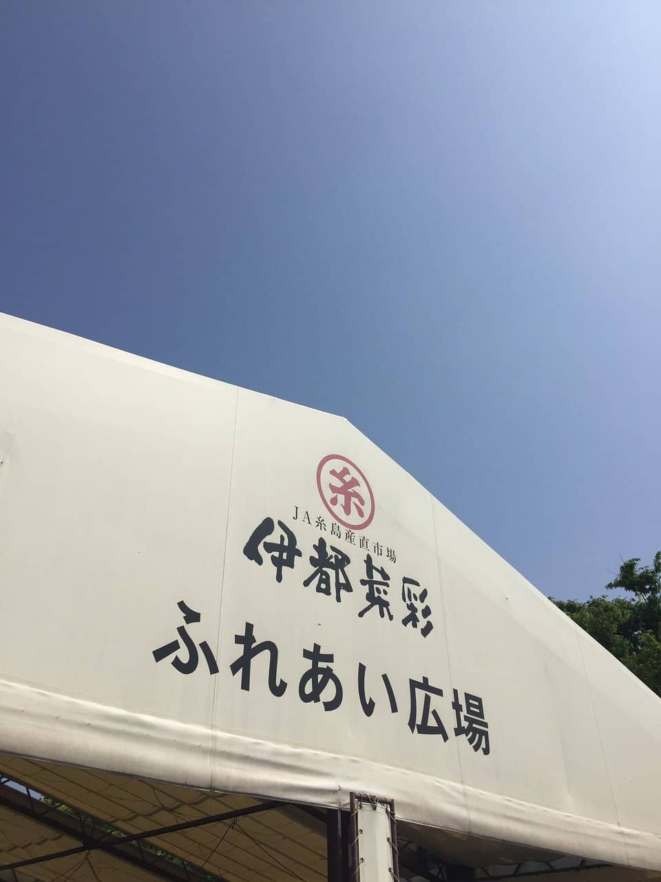 Fresh Seafood & Meats