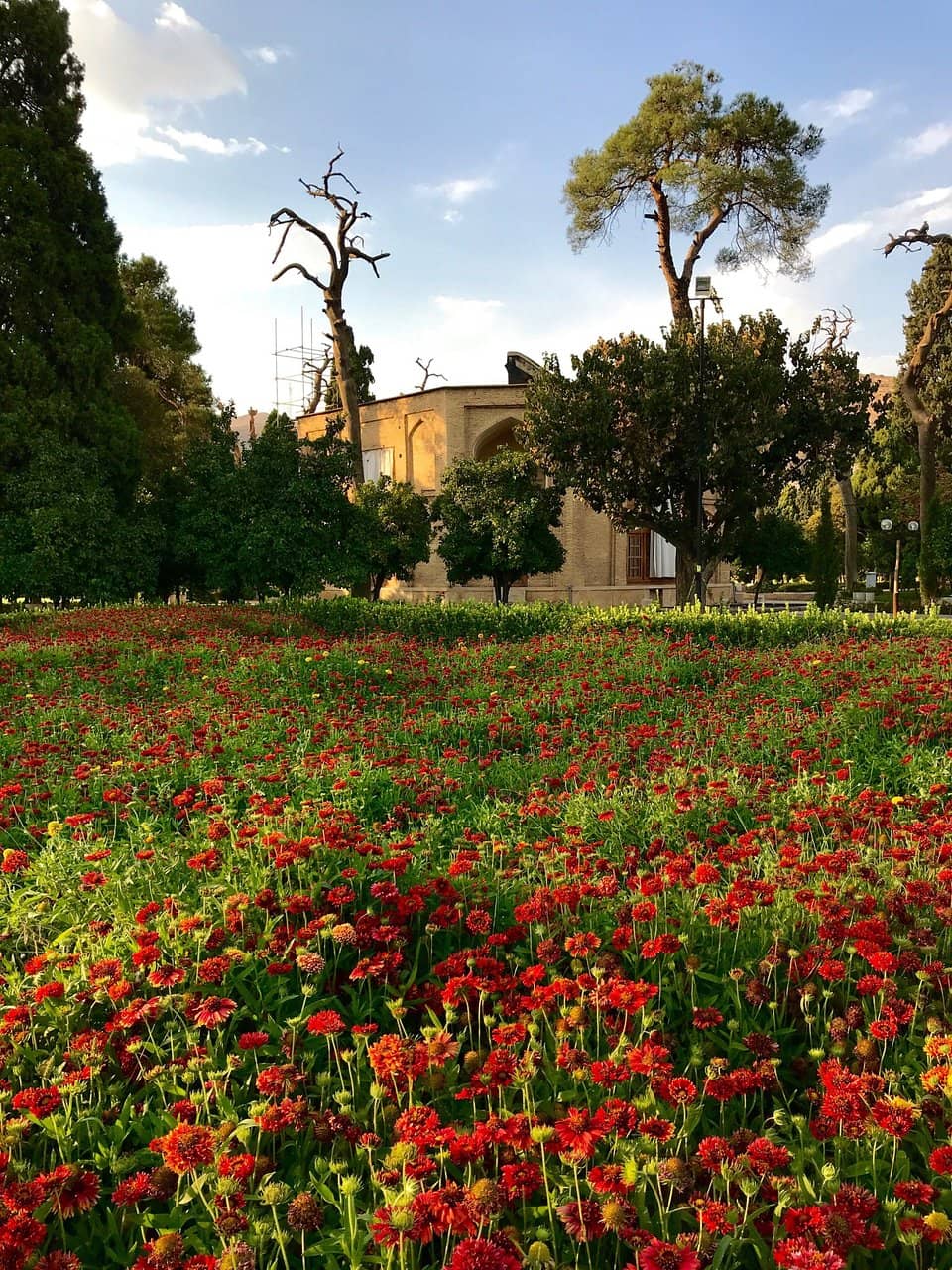 Artistic Tree Sculptures