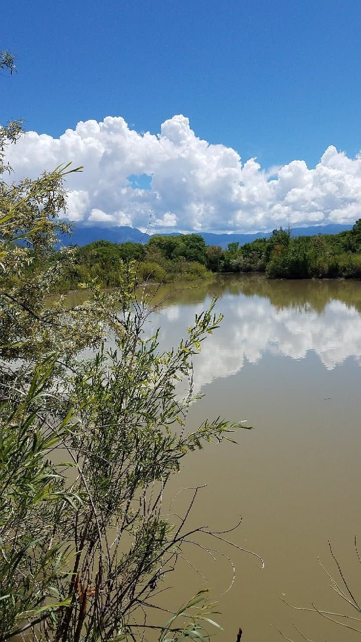 Alameda Open Space