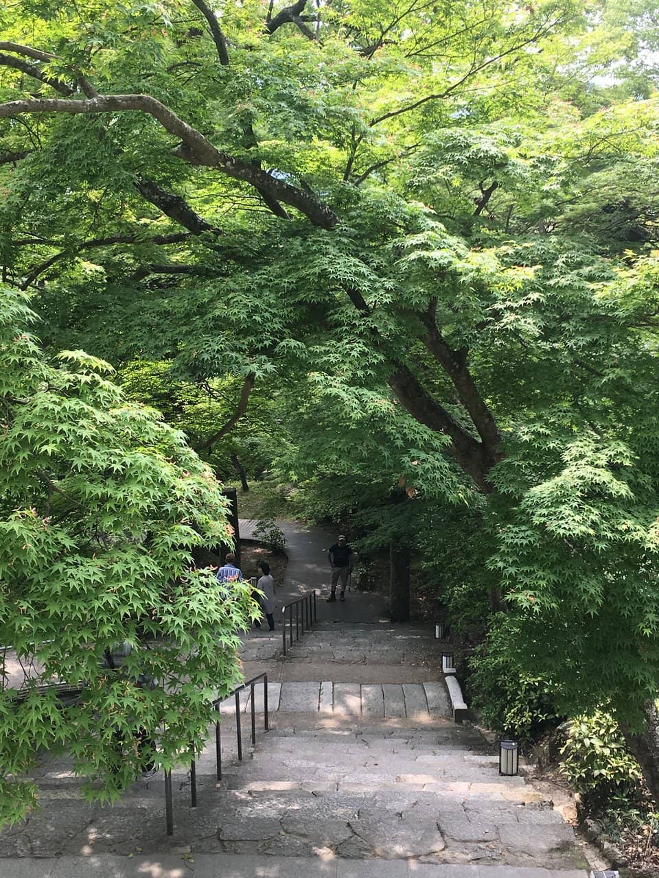 Challenging but Rewarding Trails