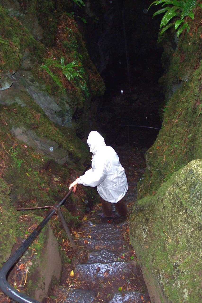 Cong Forest Trails