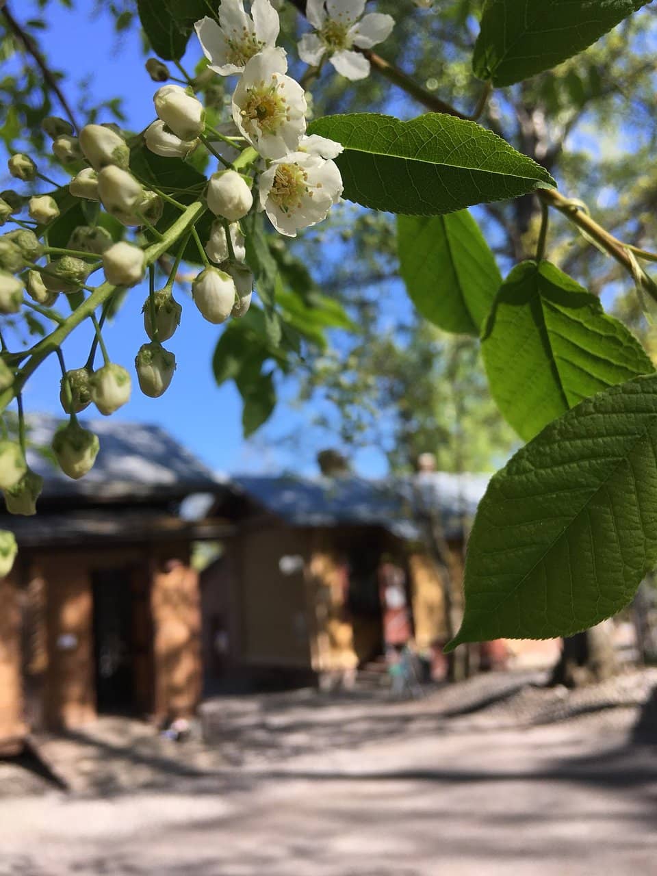 Local Delicacies & Cafe