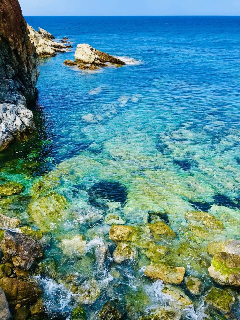 Vertical photo